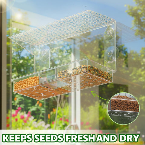 EZIYIN acrylic feeder lets you observe birds clearly, rain or shine