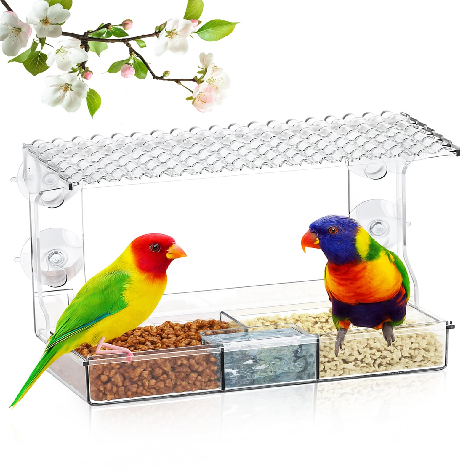 EZIYIN clear window bird feeder with strong suction cups for stable indoor viewing