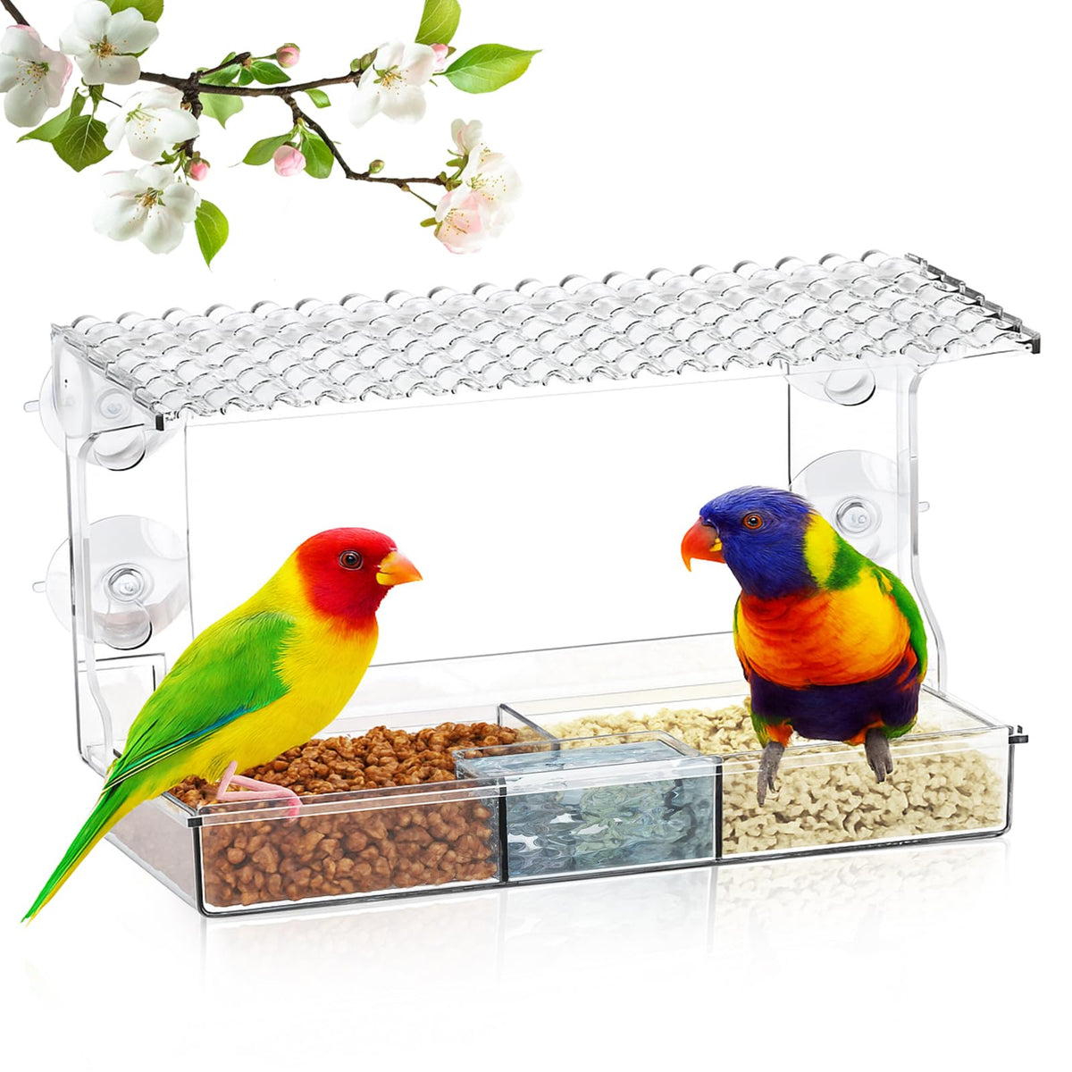 EZIYIN clear window bird feeder with strong suction cups for stable indoor viewing