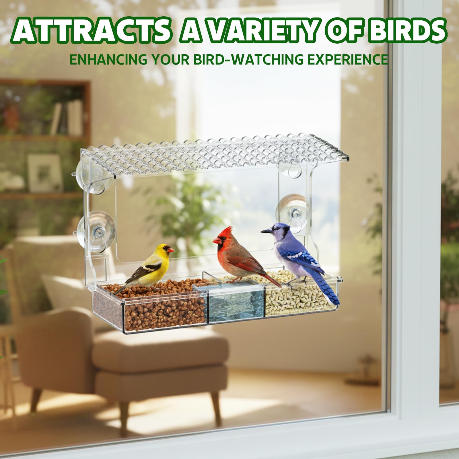 EZIYIN clear feeder offers safe perching for beginners and birdwatching families