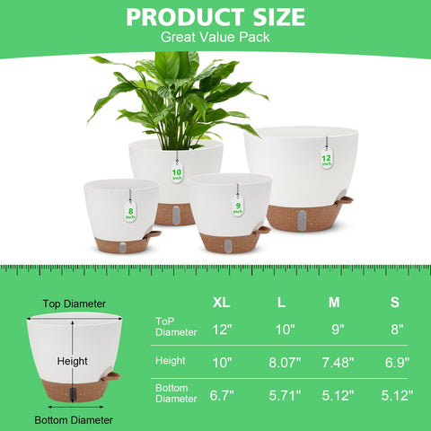 Ezmixcoop pot set in 12, 10, 9, 8 inches for versatile indoor plants