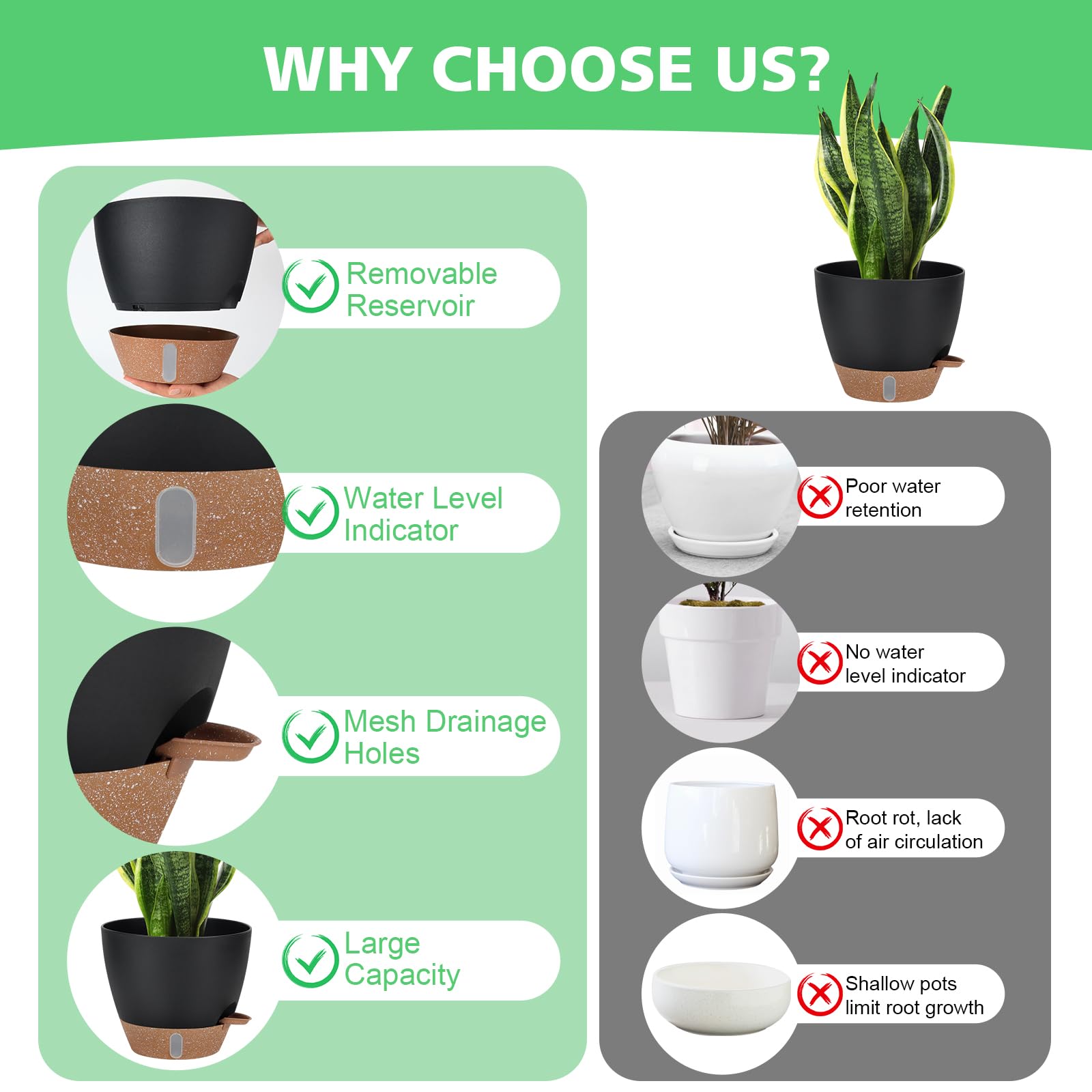 Ezmixcoop 9-inch pot with absorbent cotton rope maintains soil moisture.