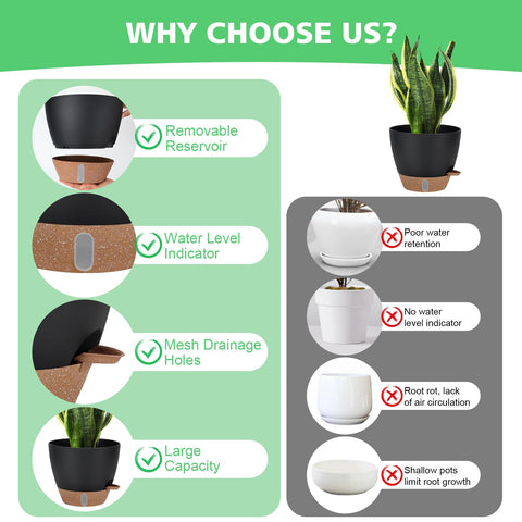Ezmixcoop 9-inch pot with absorbent cotton rope maintains soil moisture.