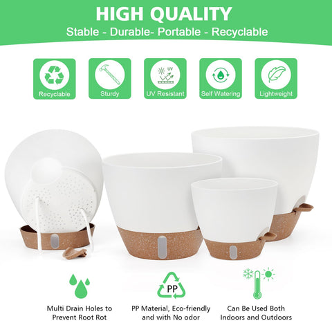 Mesh drainage holes in Ezmixcoop pot promote soil ventilation and root health