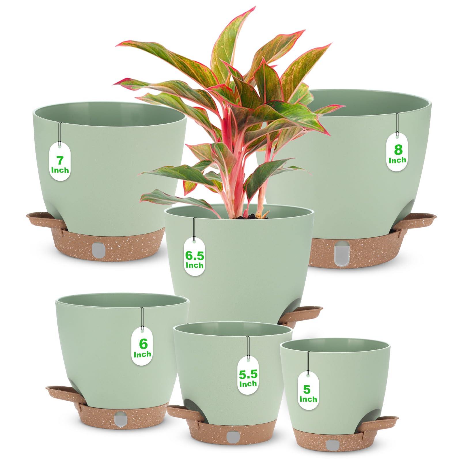 Ezmixcoop self-watering planter with visual water level for an 8-inch pot