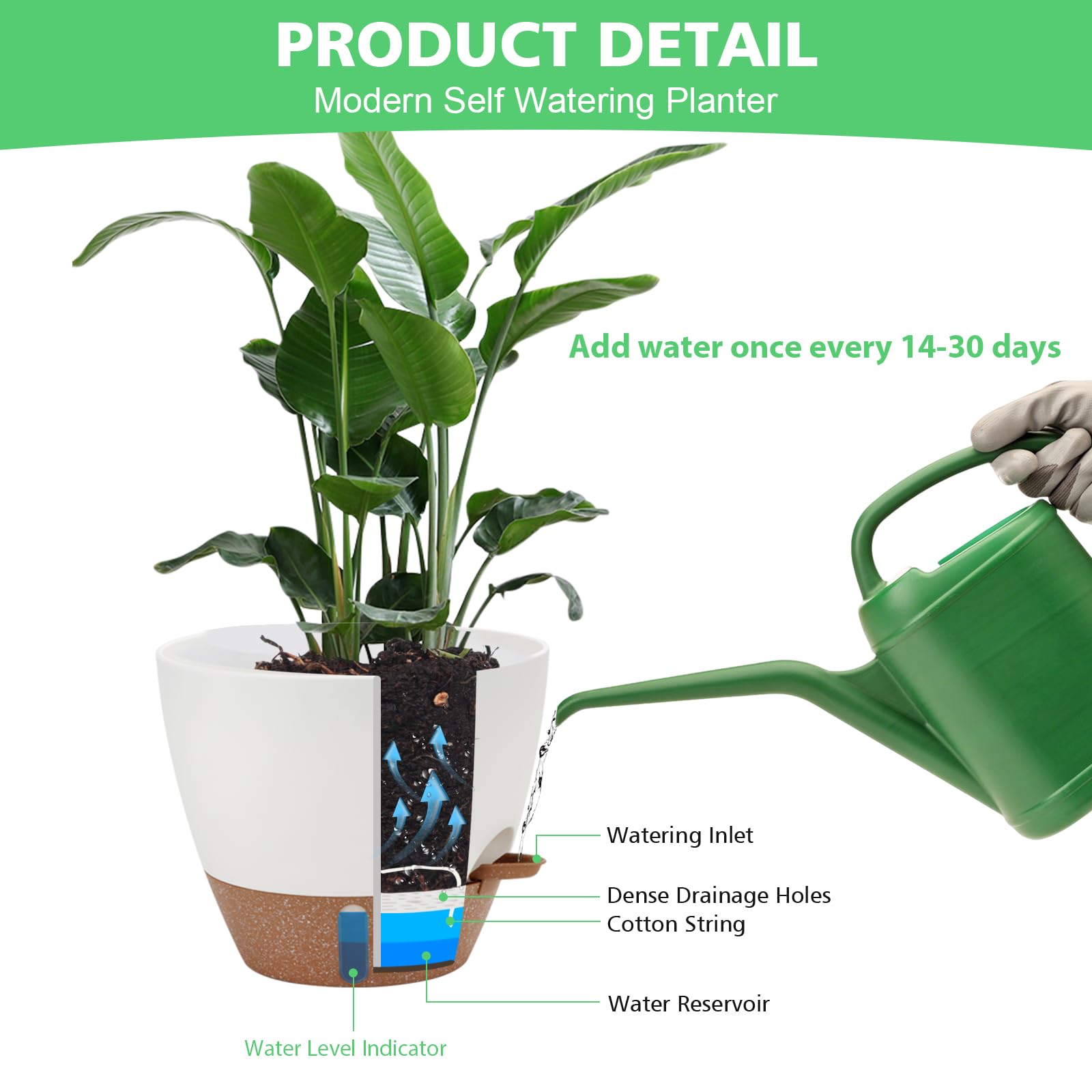 Ezmixcoop self-watering planter 5 inch shows level window for convenient root-zone watering