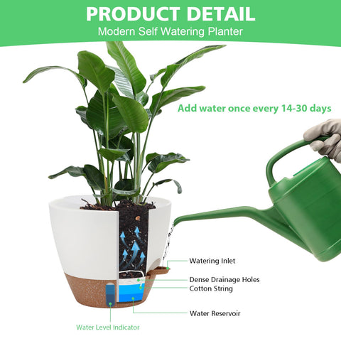 Ezmixcoop self-watering planter 5 inch shows level window for convenient root-zone watering