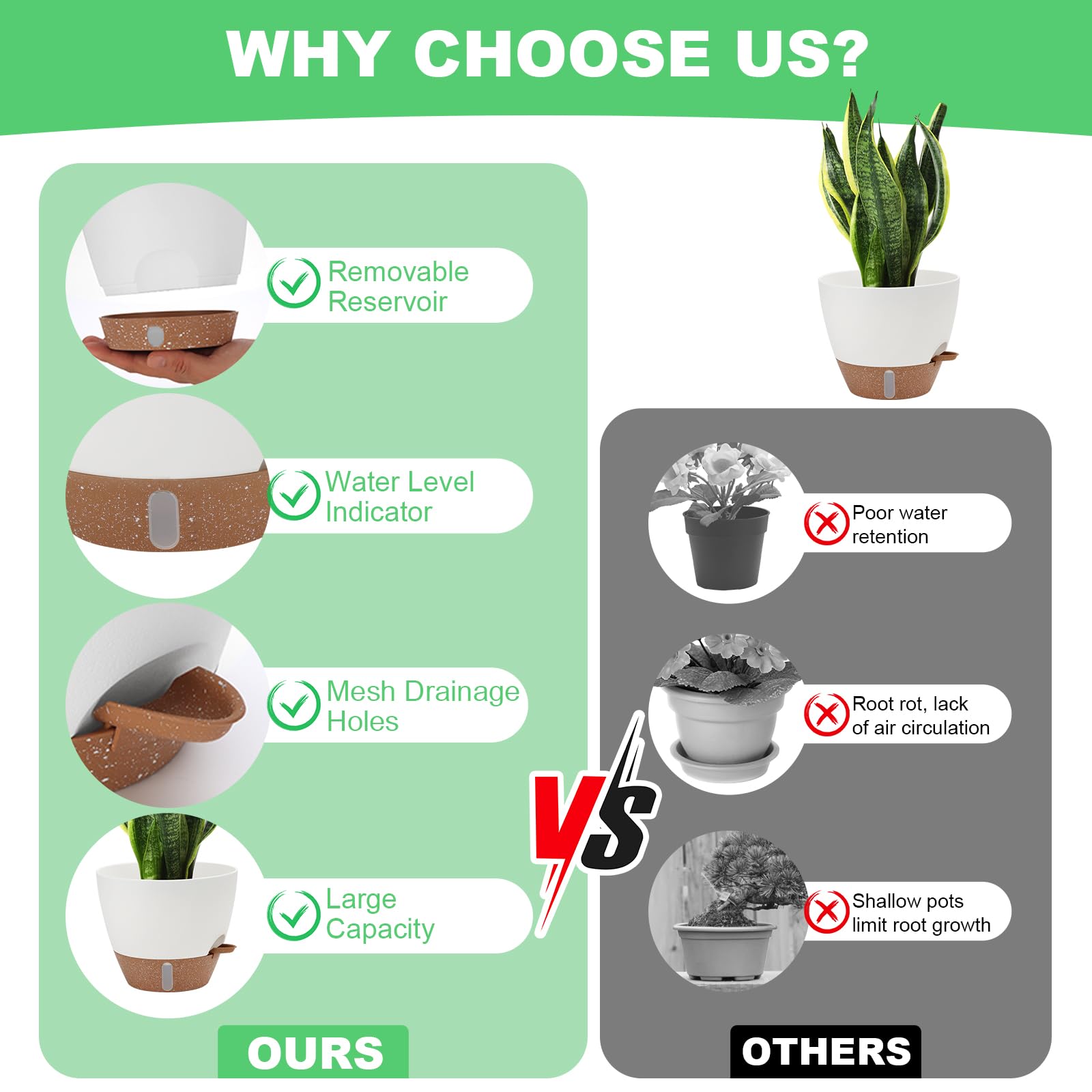 Ezmixcoop self-watering planter 6.5 inch shows water level for near-root hydration