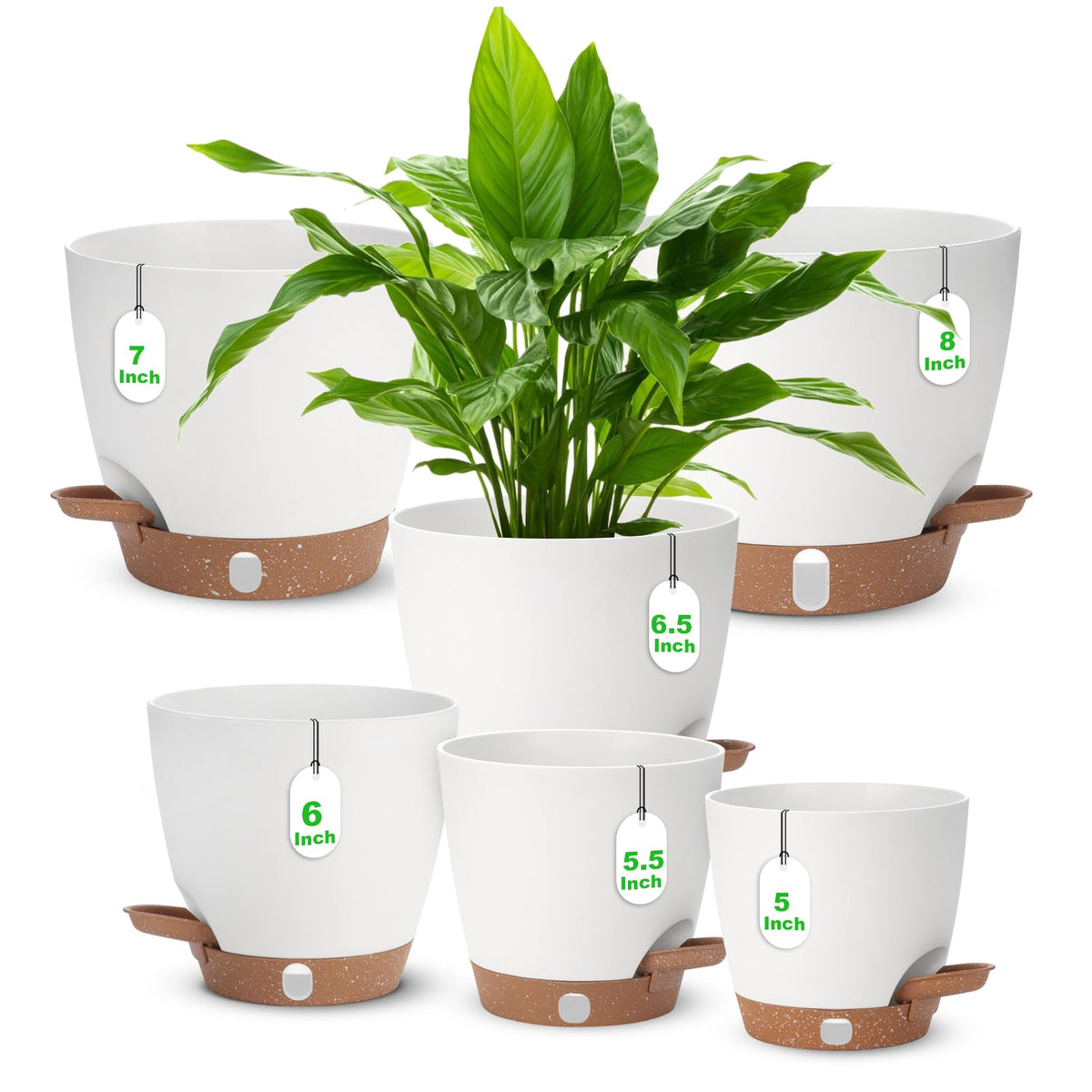 Ezmixcoop self-watering planter 8 inch with visual water level for easy moisture checks