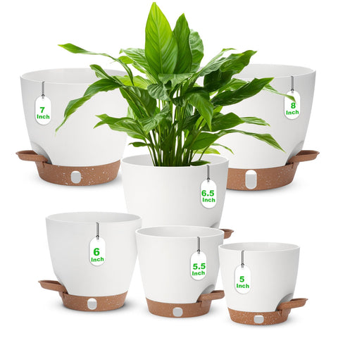 Ezmixcoop self-watering planter 8 inch with visual water level for easy moisture checks