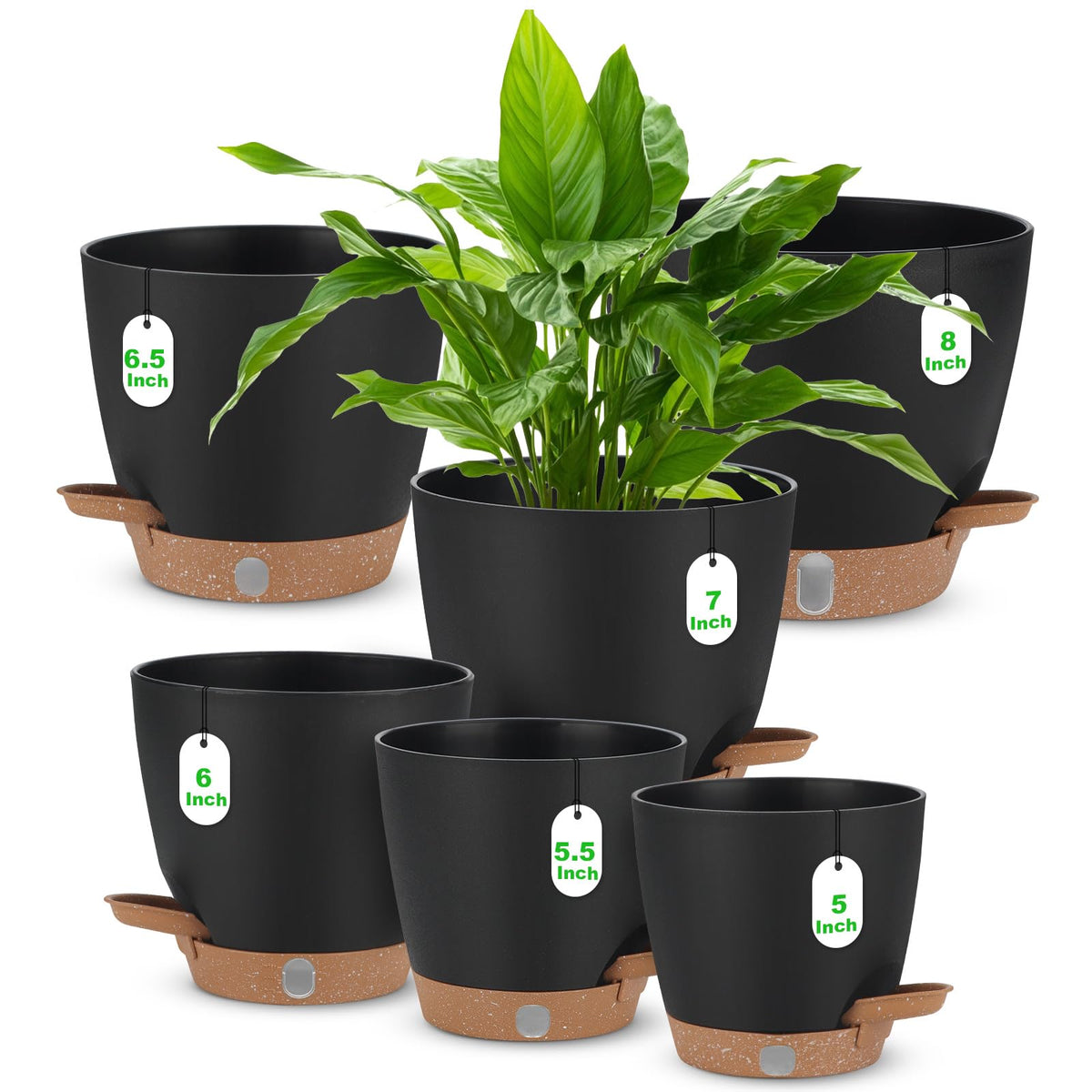 Ezmixcoop self-watering planter with visual water level window for easy indoor care.