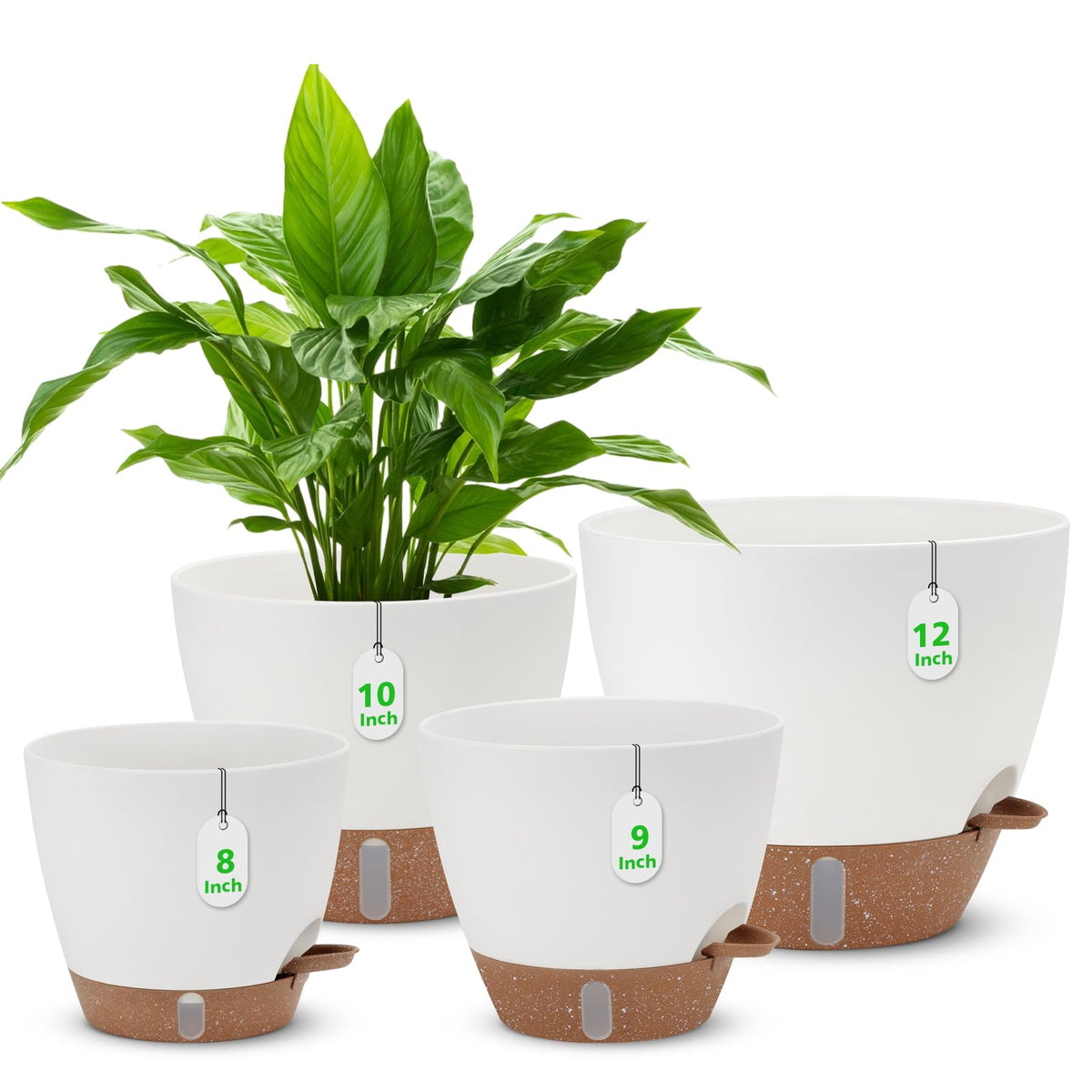 Ezmixcoop self-watering pots with water level window for easy moisture tracking