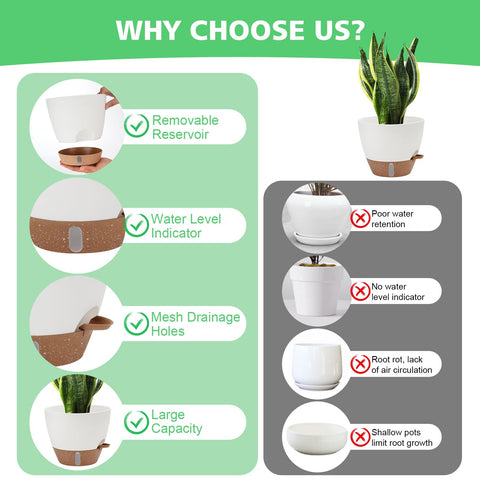 Close-up of water level indicator on Ezmixcoop pot for travel-friendly plant care
