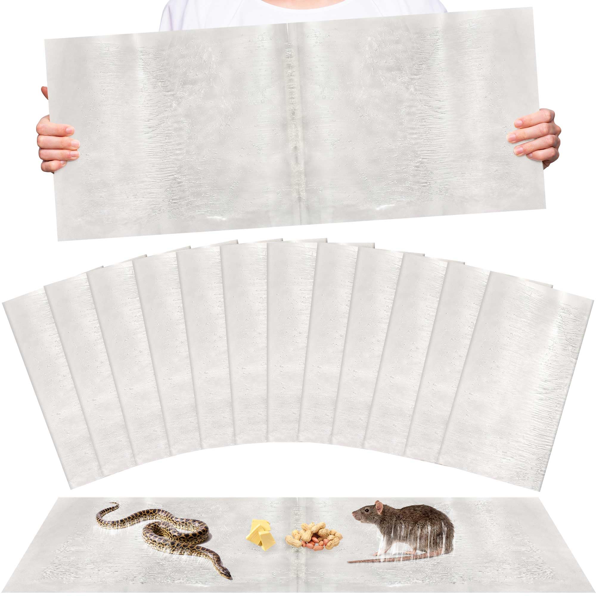 Ezoon 12-pack large sticky glue traps pack shot showing the 26x11 inch size for versatile capture