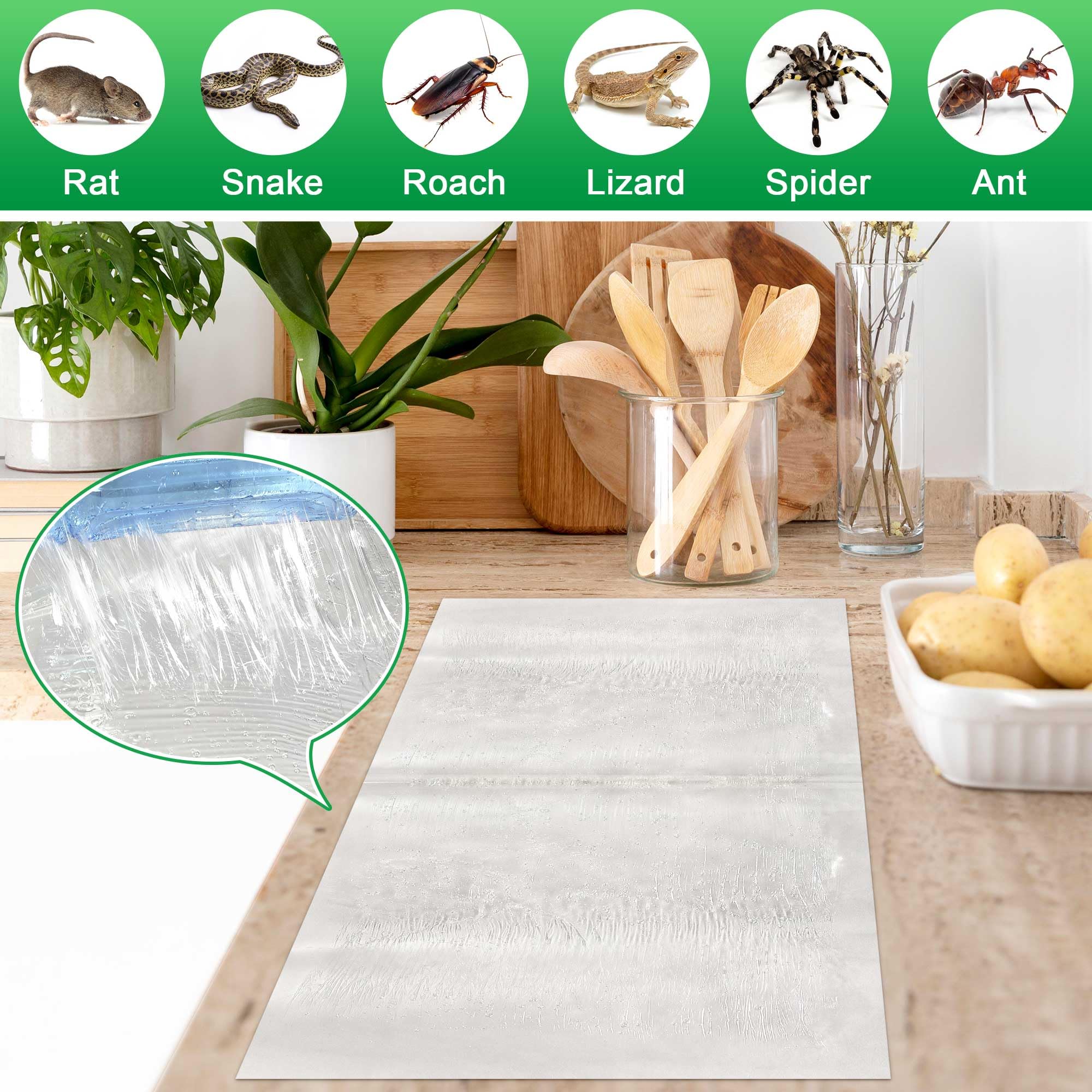 Ezoon 26x11 inch traps highlight large capacity for bigger pests