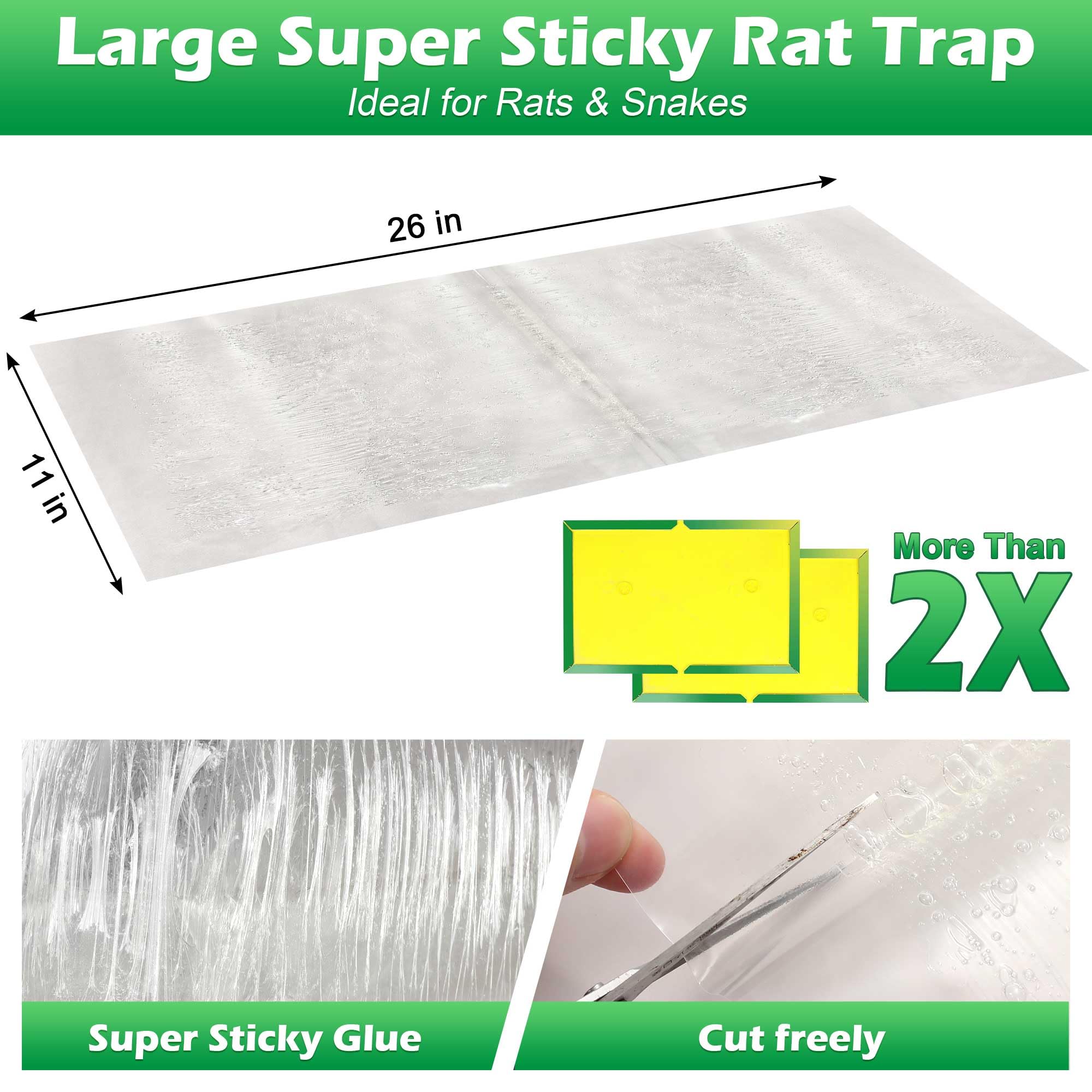 Ezoon traps set up illustration demonstrating easy placement in tight spaces
