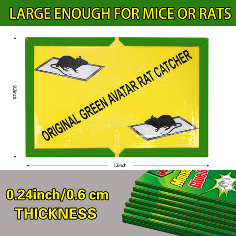 Ezoon glue trap showing bait-centered setup for better attraction.