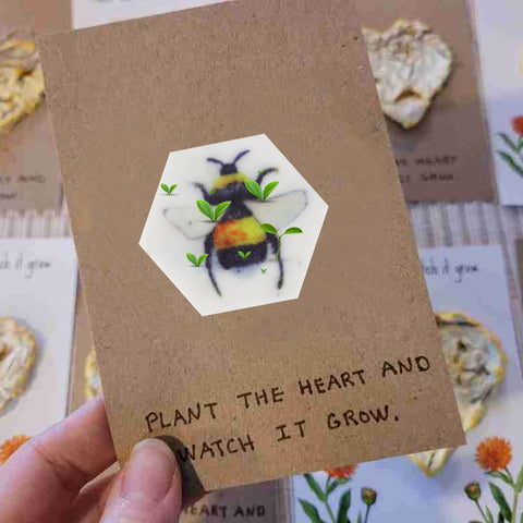 Ezoon bee-friendly seed paper, supports pollinators while creating garden-ready plants.
