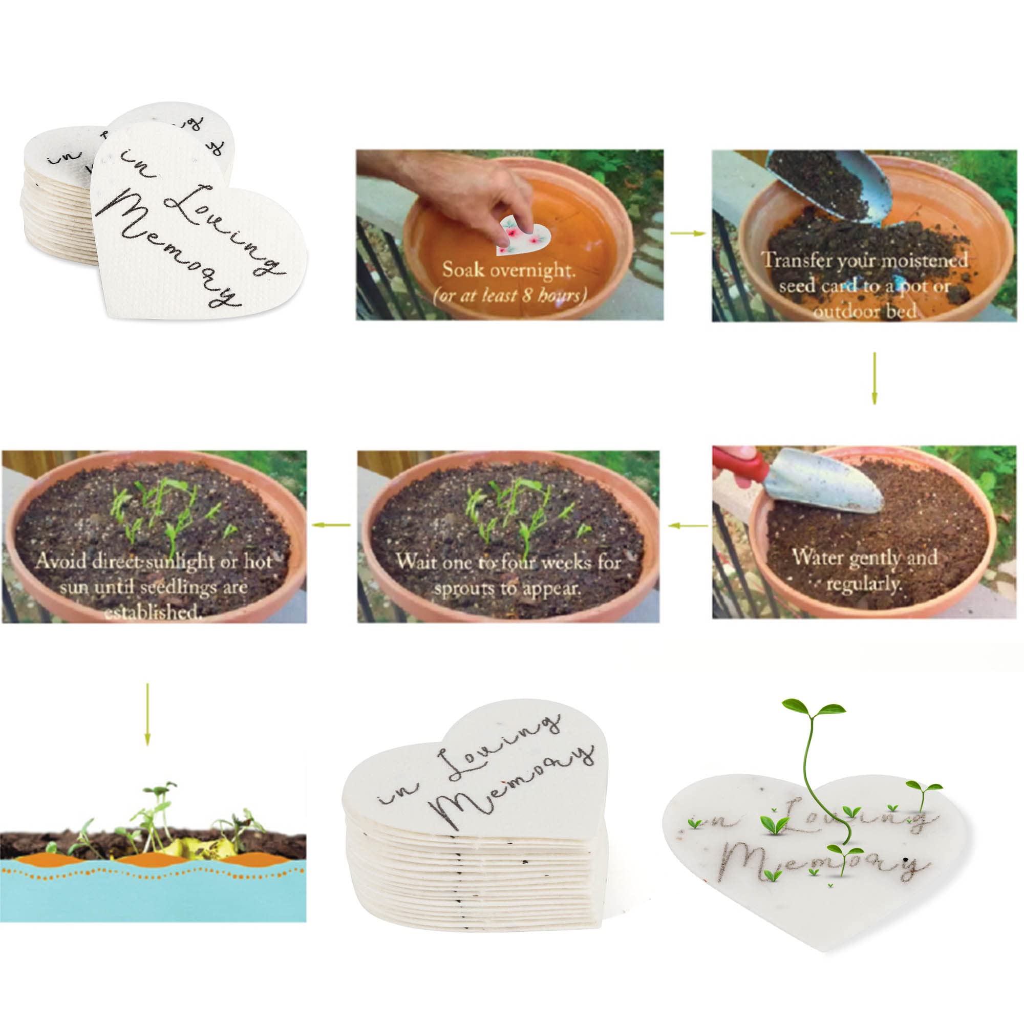 Ezoon biodegradable materials highlight eco-friendly memorial keepsakes.
