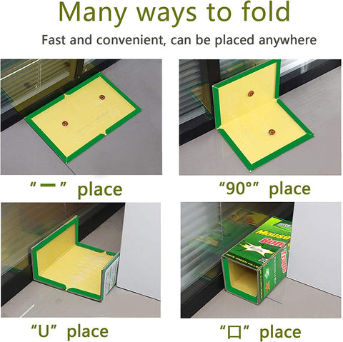 Ezoon easy-disposal design enables quick cleanup.