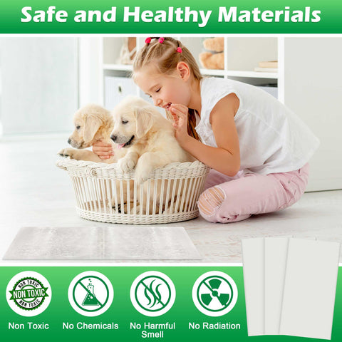 Ezoon eco-friendly material emphasizes safer choice for homes