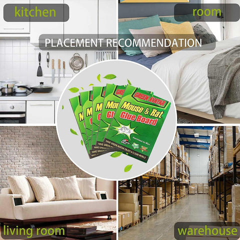 Ezoon eco-friendly materials offer greener pest control options.