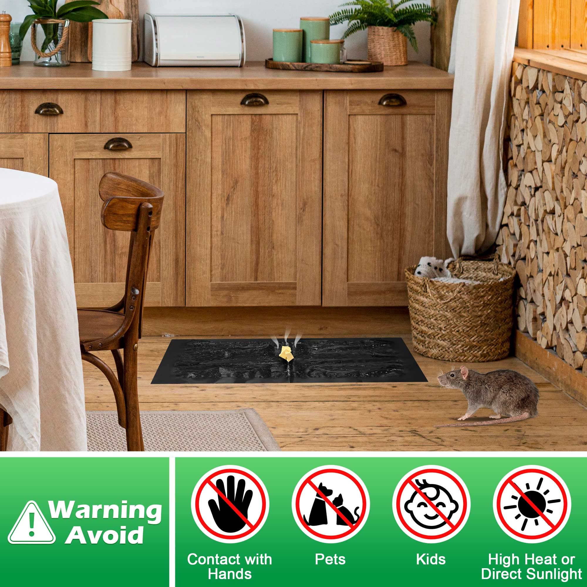 Ezoon eco friendly material sticky trap promotes safer pest control