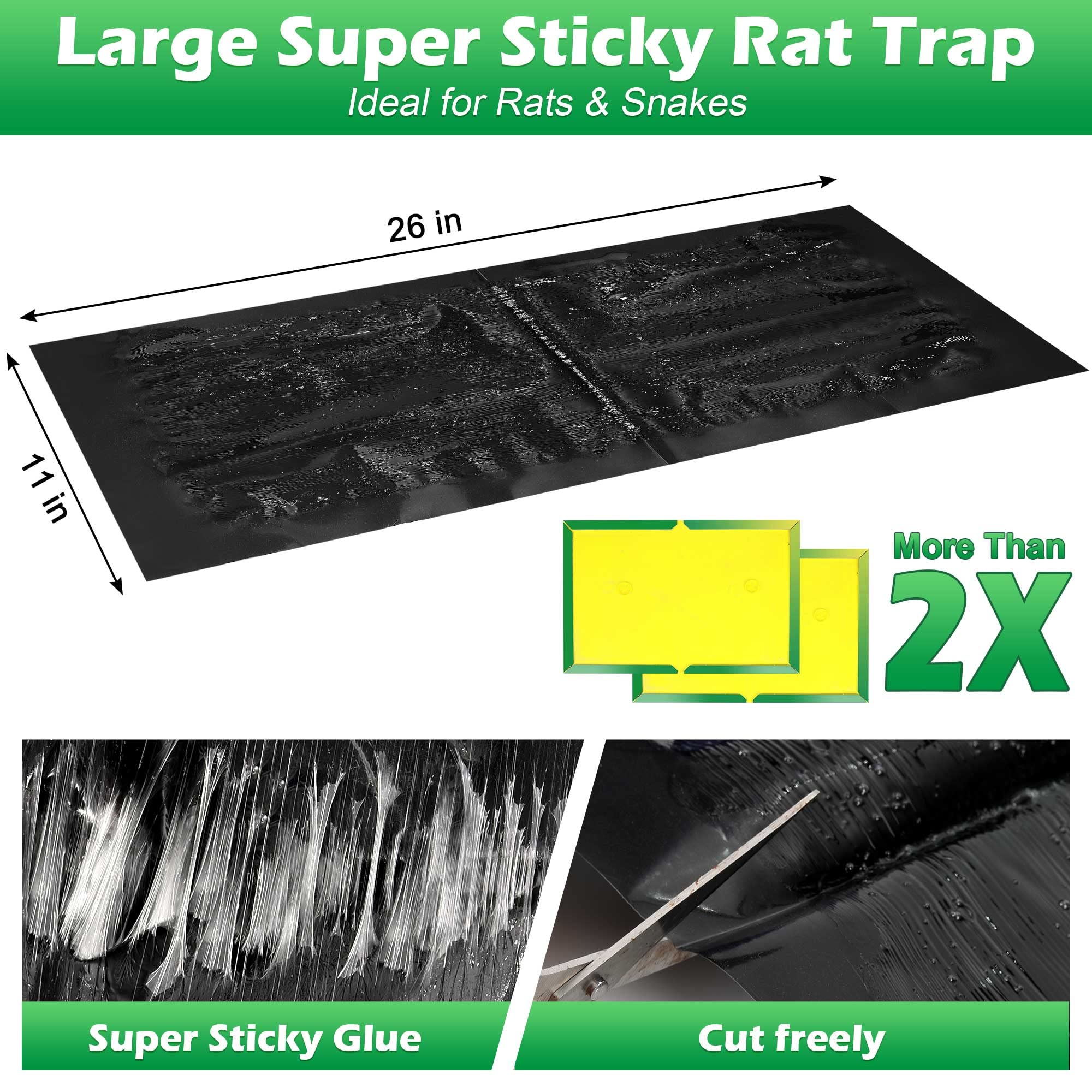 Ezoon glue trap close up showing easy to cut to fit space for rodents