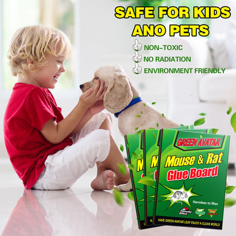 Ezoon glue traps designed for both indoor and outdoor use in homes.