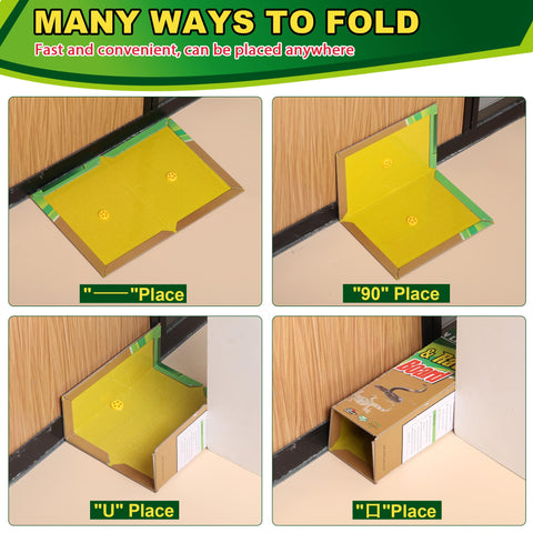 Ezoon indoor-use traps for kitchen and living areas.
