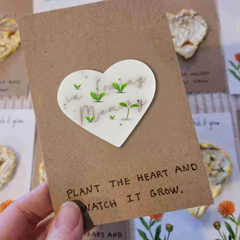 Ezoon plantable wildflower seeds embedded in seed paper.