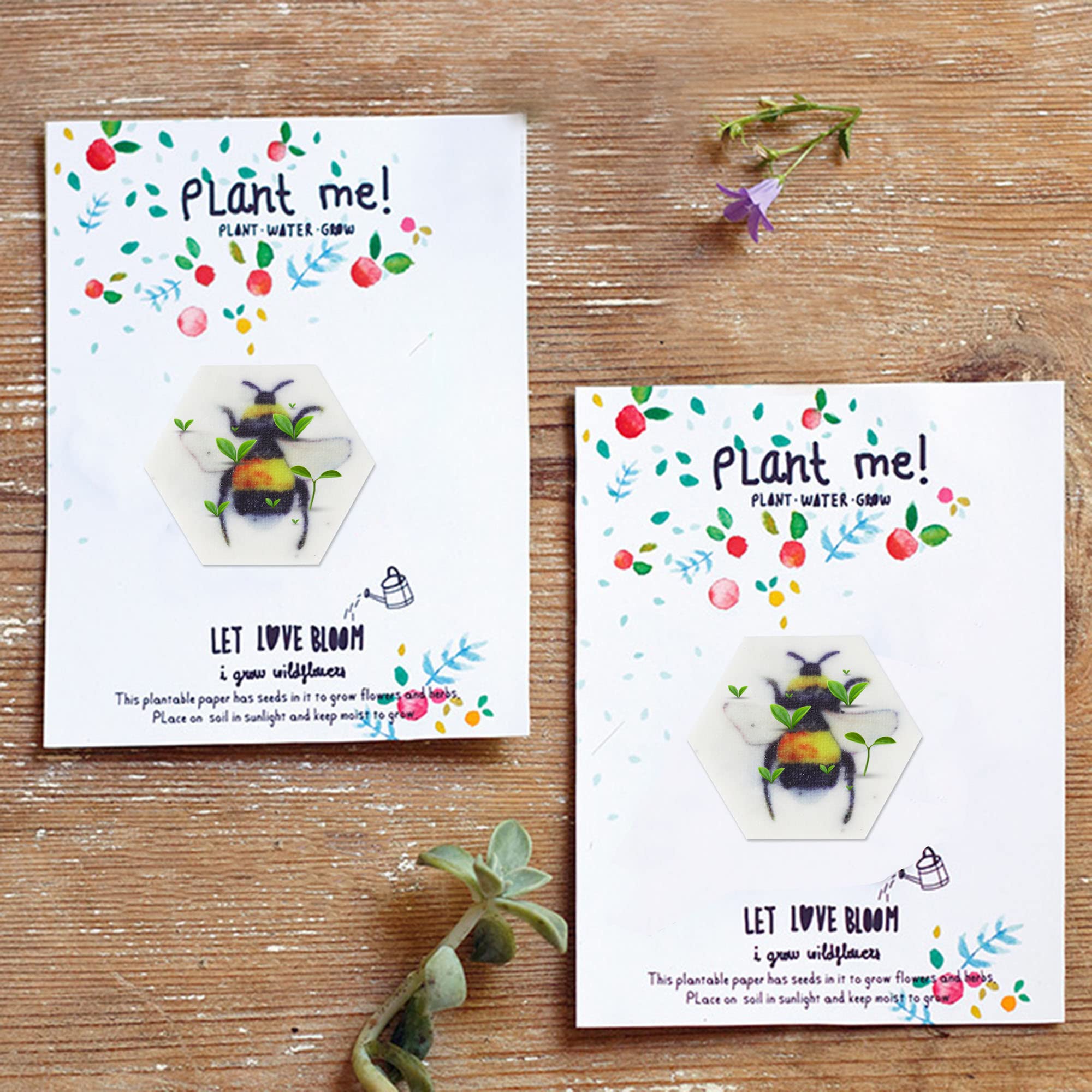 Ezoon recycled cotton seed paper, plantable material for sustainable wedding favors.