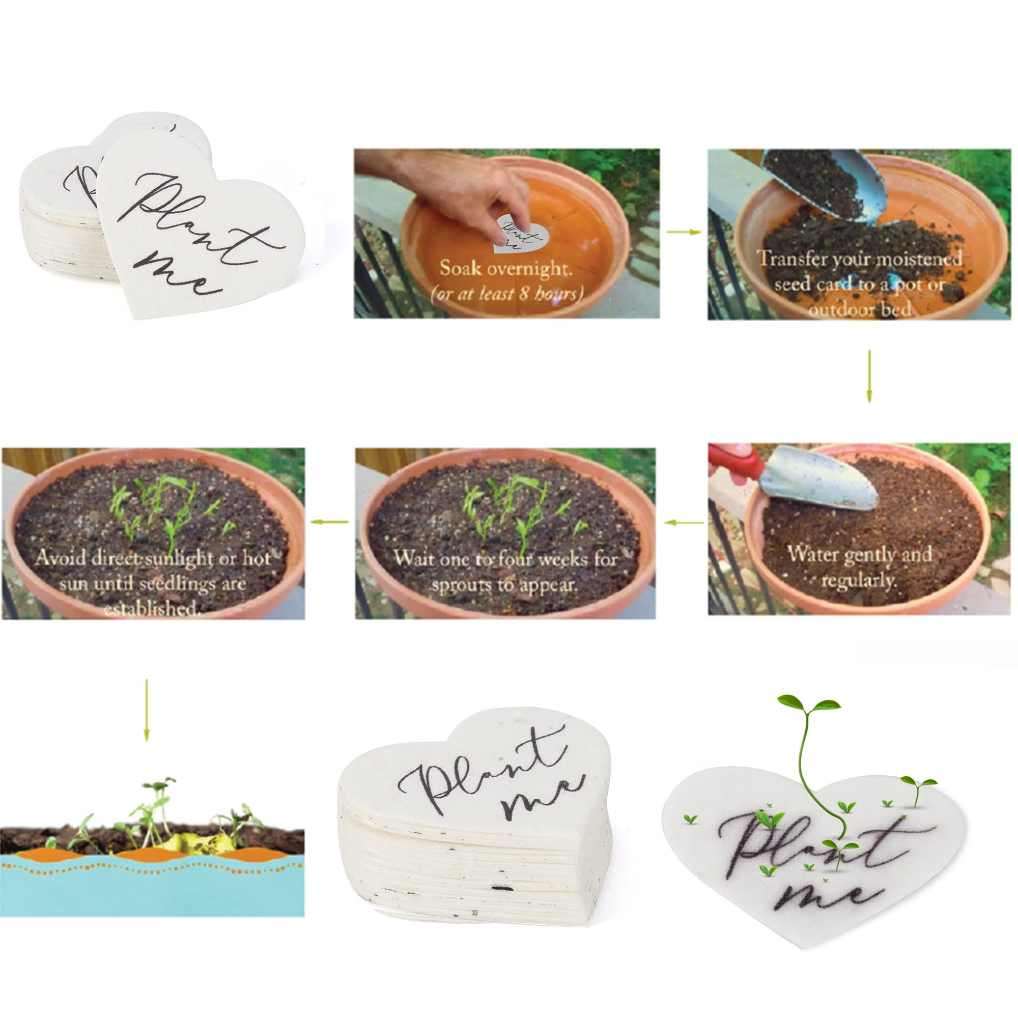 Ezoon set of 50 plantable paper packets ideal for guest gifts.
