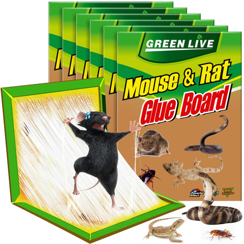 Ezoon six-pack sticky mouse traps, front view, ideal for indoor pest control.