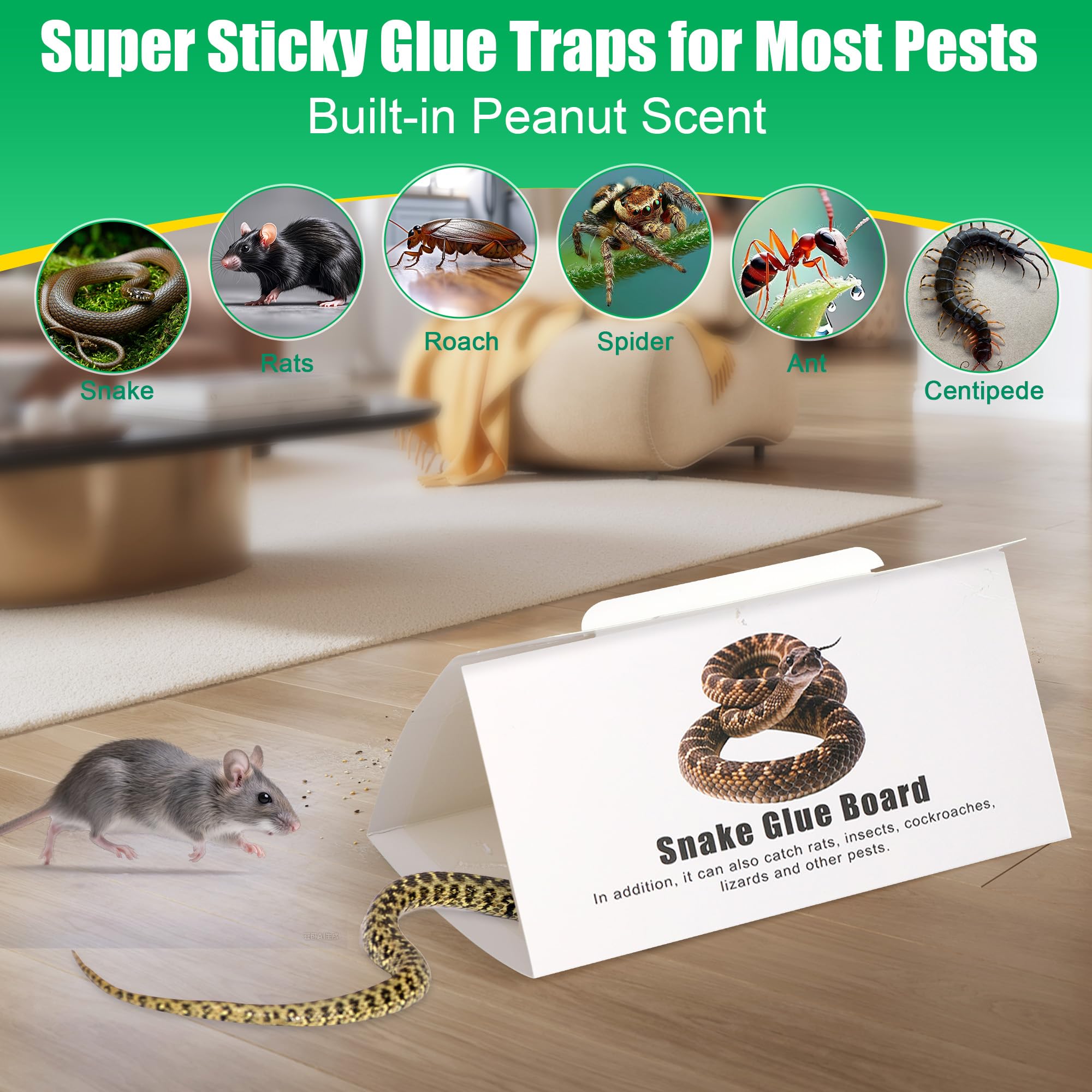 Ezoon trap with bait center promotes effective pest attraction.