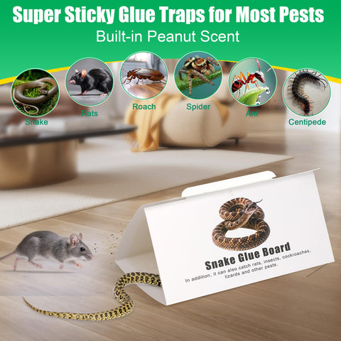 Ezoon trap with bait center promotes effective pest attraction.