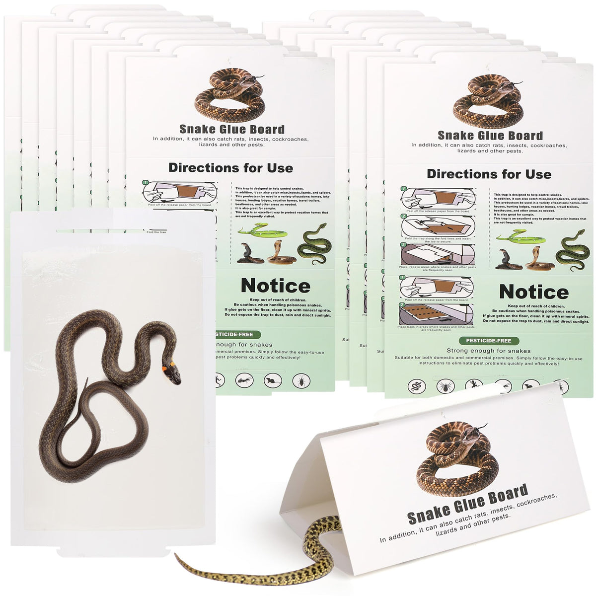 Ezoon snake glue trap opened for easy outdoor setup.