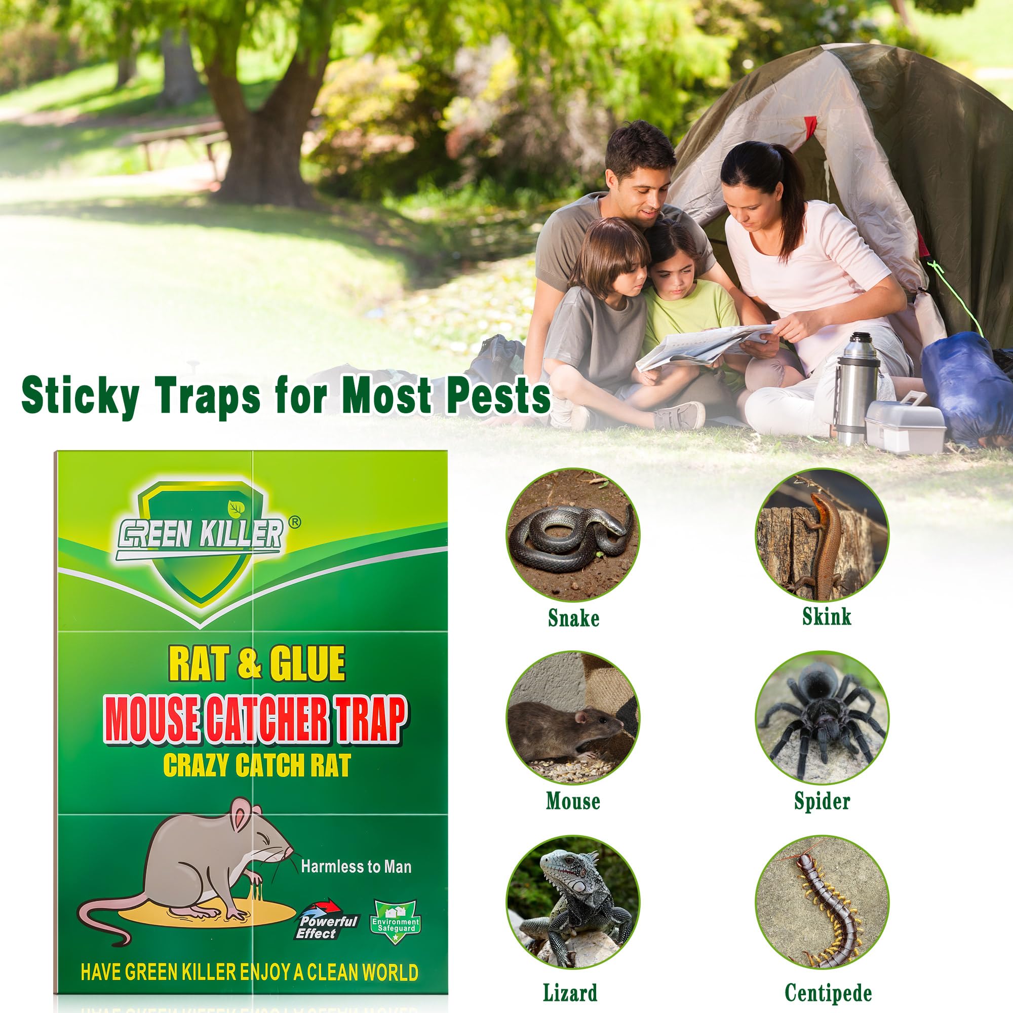 Ezoon snake trap in garden demonstrates easy setup and placement.