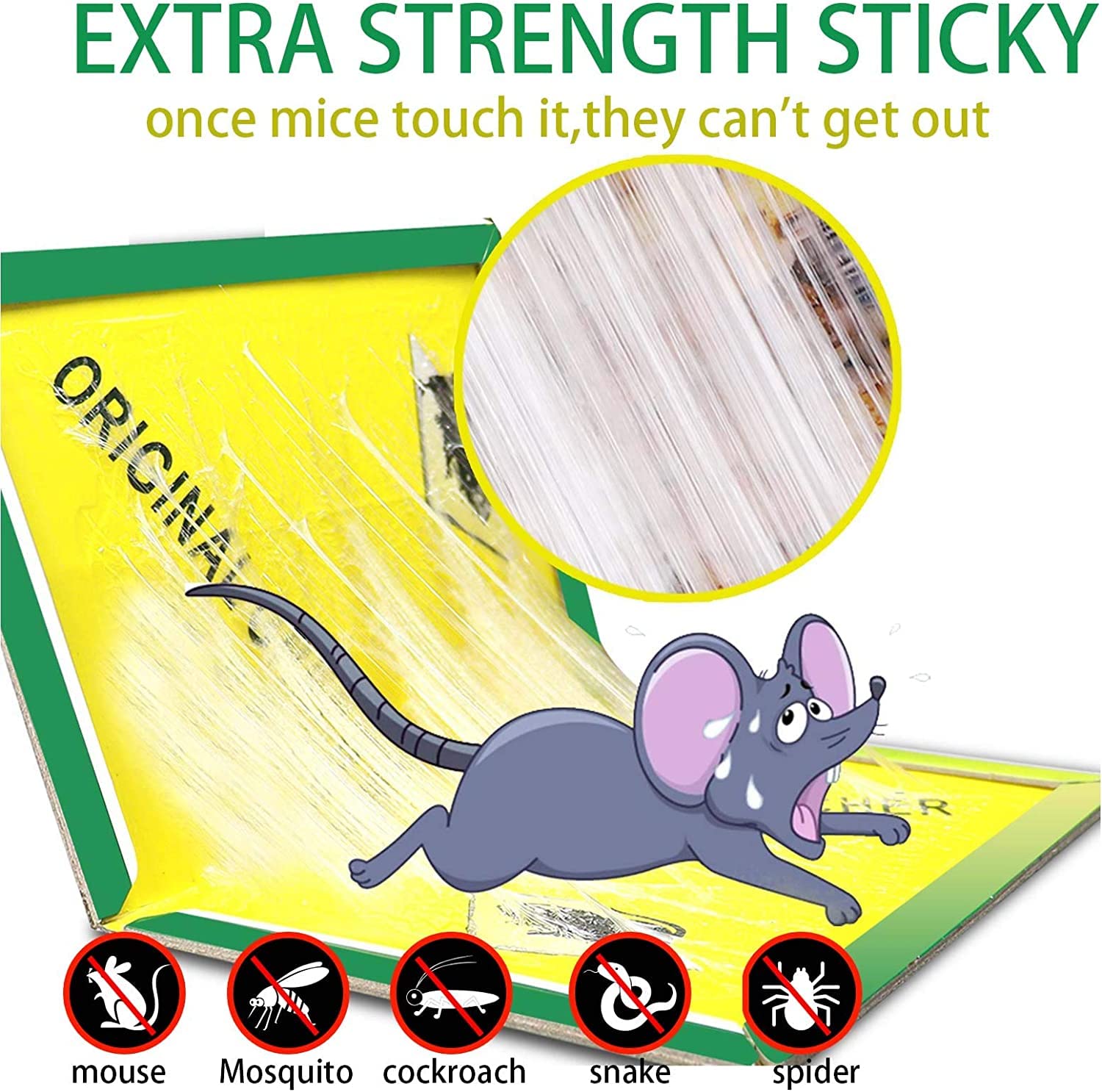 Ezoon sticky glue trap closeup showing strong adhesive for effective catches.