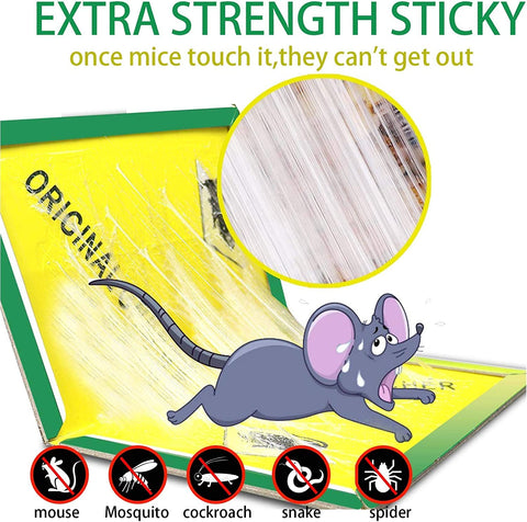 Ezoon sticky glue trap closeup showing strong adhesive for effective catches.