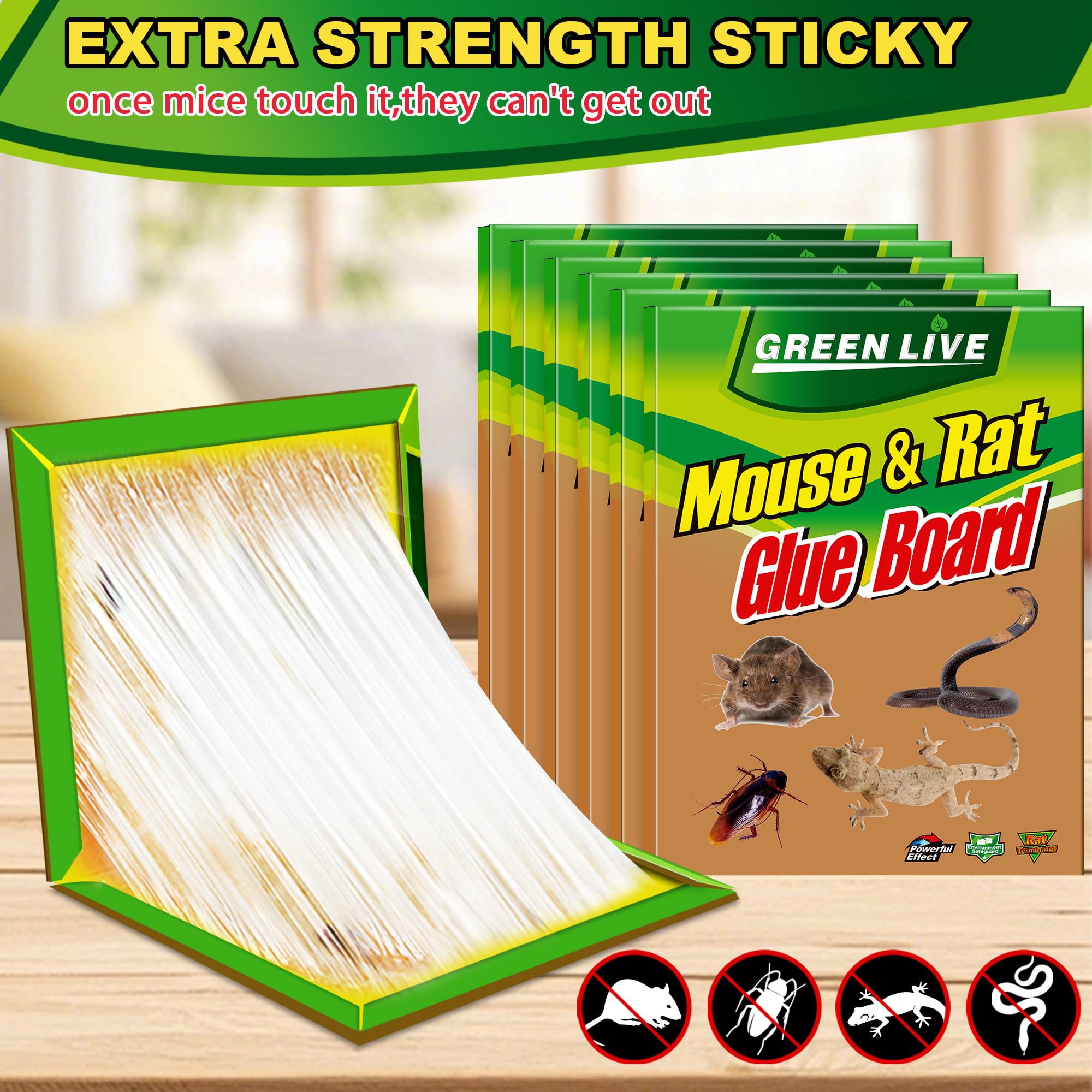 Ezoon trap setup in action shows quick placement.