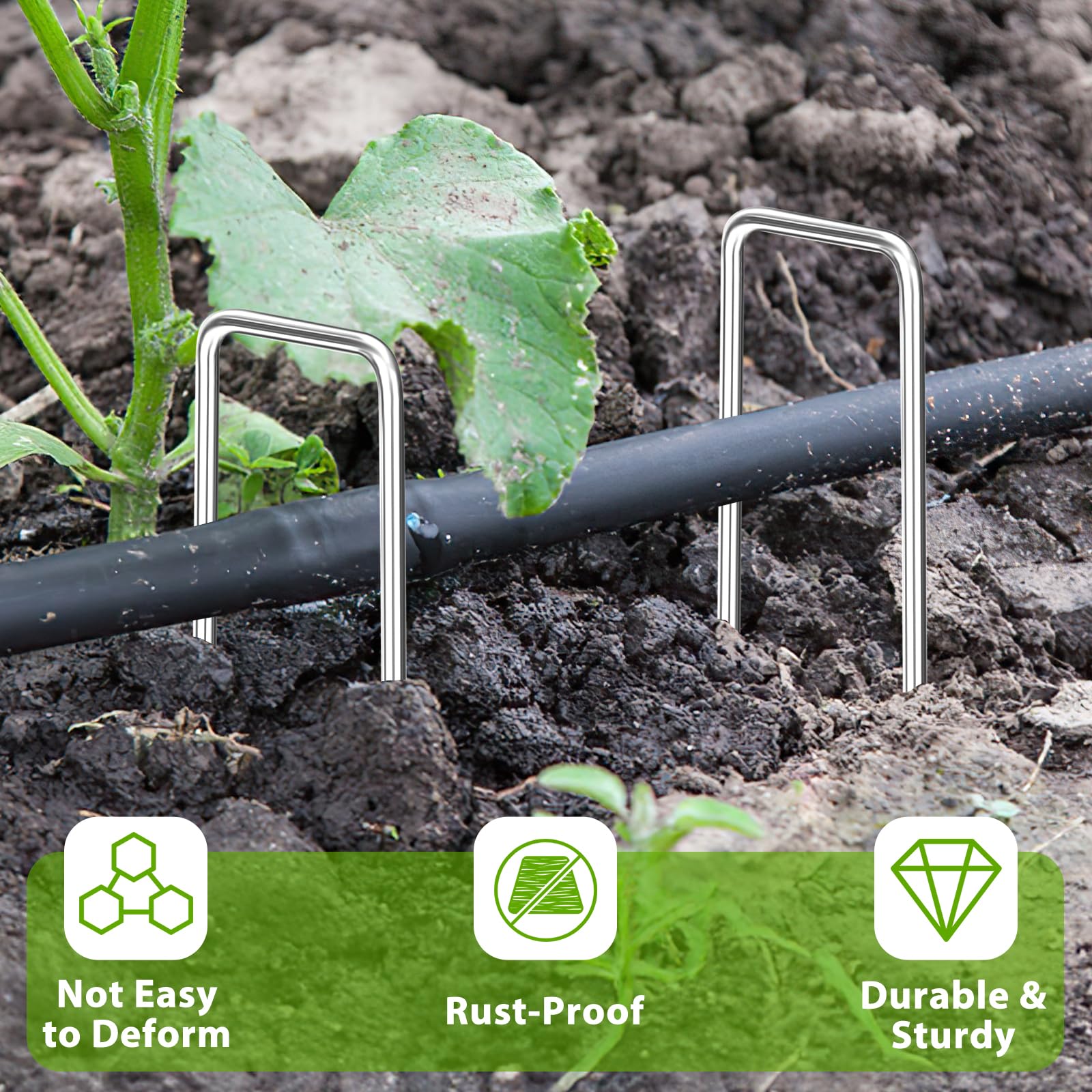 FAAYUCK landscape-stakes-flat-top-design facilitates easy hammering and removal.