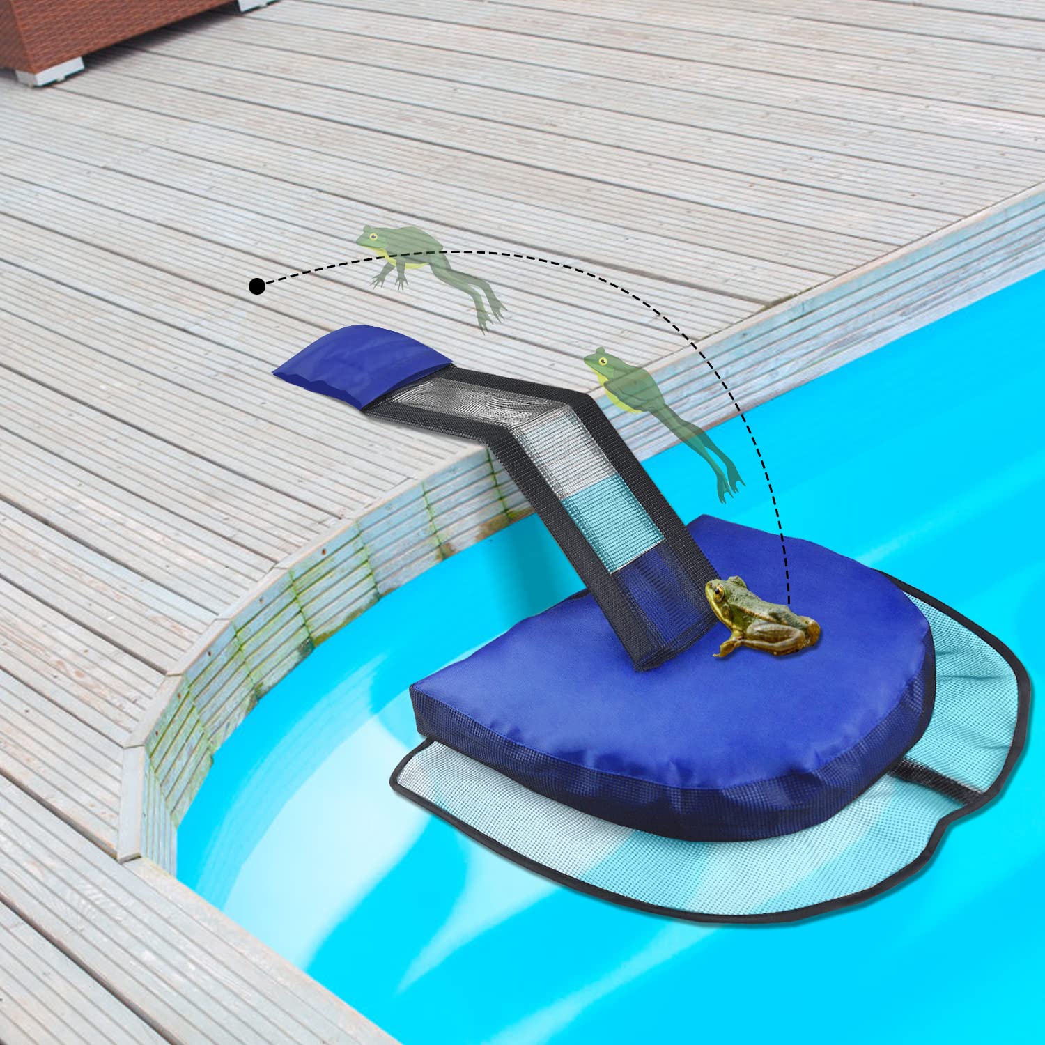 Floating platform ramp shows how critters can reach the pool edge