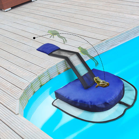 Floating platform ramp shows how critters can reach the pool edge