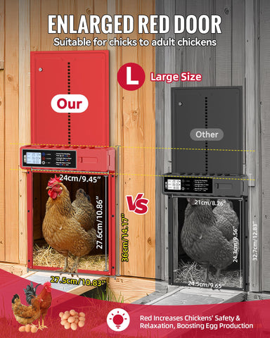 FabStyl red chicken door design calming hens and supporting routine.