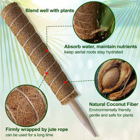 Natural coconut fiber moss pole blends with greenery