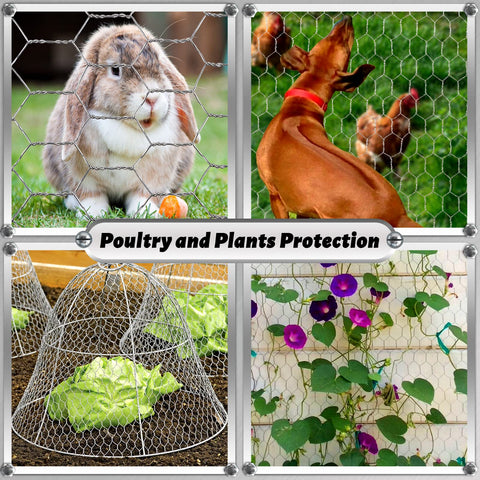 Fabulas garden barrier helps protect plants while keeping visibility intact.