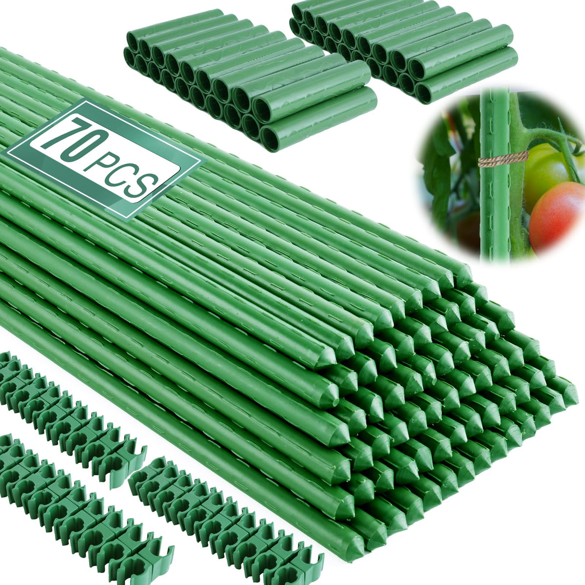 Fabulas Garden Stakes 16-inch setup supports sturdy plant growth.