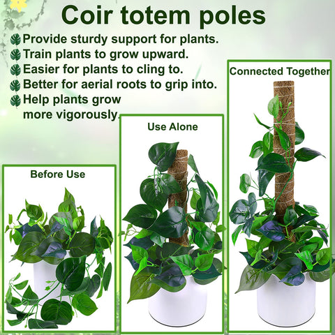 Fabulas 20.5-inch moss poles bundled for taller climbing plants