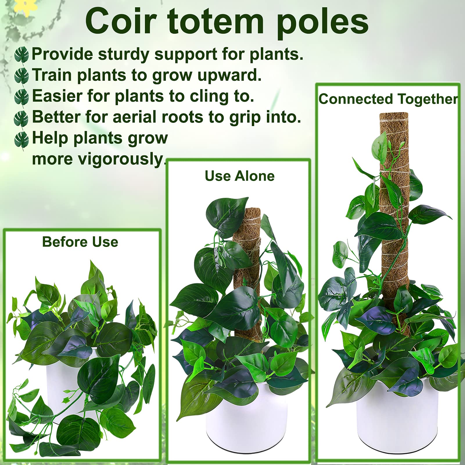 Fabulas moss pole being inserted into a pot for sturdy support